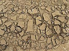 Drought (representative picutre)