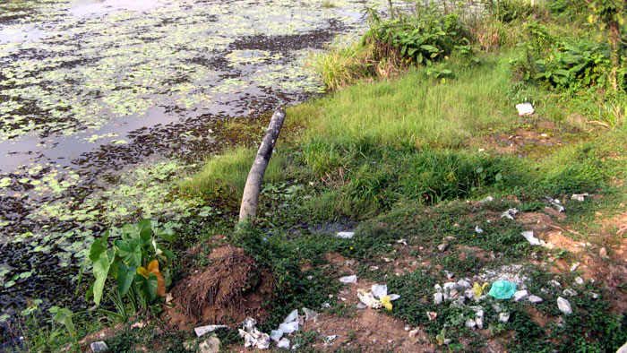 Waste materials accumulating on the banks of Aruvikkara reservoir near Thiruvananthapuram